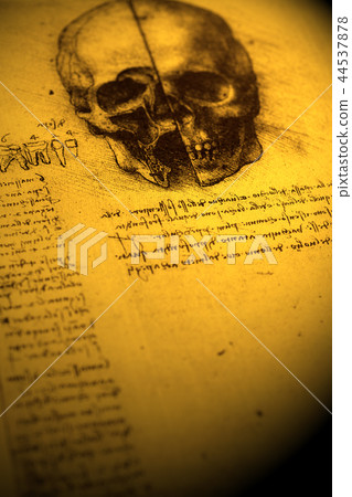 Anatomy Anatomy 44537878