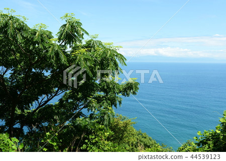 荒島 荒島 44539123