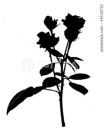 Beautiful Silane White and Black Roses. Isolated on White Background. Vector Illustration 44539712