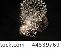 Fireworks 44539769