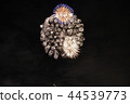 Fireworks 44539773