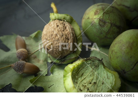 Fresh harvest of walnuts in a green shell and peel 44539861