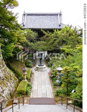 從善通寺的主要大廳看到的風景 從善通寺的主要大廳看到的風景 44539919