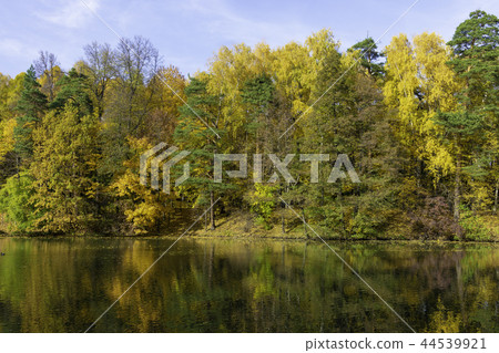 Autumn, forest on the background of the pond Autumn, forest on the background of the pond 44539921