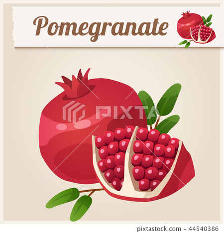 Detailed Icon. Pomegranate. 44540386