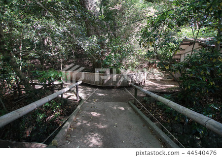 Tachida Nature Park Tachida Nature Park 44540476