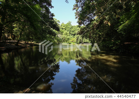 Tachida Nature Park Tachida Nature Park 44540477