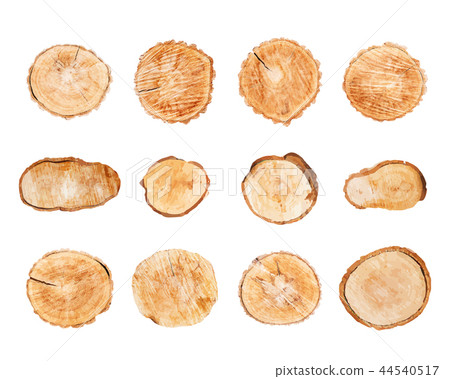 Wood logs set isolated on white background vector 44540517