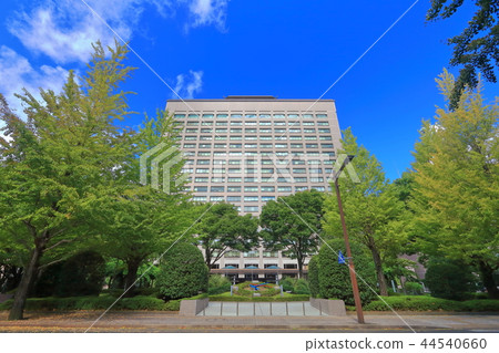 Miyagi Prefectural Office in sunny weather 44540660