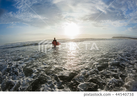 Surfer Beach Entry Ocean Morning Surfing Surfer Beach Entry Ocean Morning Surfing 44540738