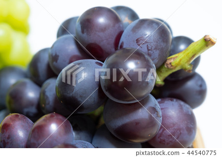 Grape (Assorted) Fujishima Fujimi Nori 44540775