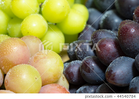 Grapes (Assorted) 44540784
