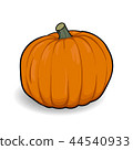 orange pumpkin cartoon vector 44540933