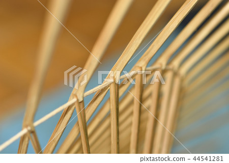 日本傘的骨頭 日本傘的骨頭 44541281