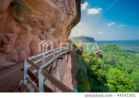 Forest, Green Color, Ladder, Mountain,Wood bridge 44541301