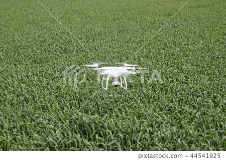 Flying white quadrocopters over a field of wheat Flying white quadrocopters over a field of wheat 44541925