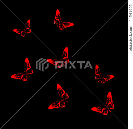 Swarm of red butterflies silhouettes on black. 44541995