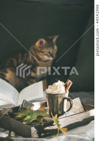 Hot chocolate with whipped cream and cinnamon and cat 44541998