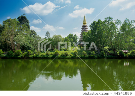 Palm Tree, Tropical Climate, Chiang Rai Pr Palm Tree, Tropical Climate, Chiang Rai Pr 44541999