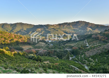 俯瞰群山環繞的村莊 俯瞰群山環繞的村莊 44543271