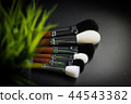 Black and white brushes 44543382