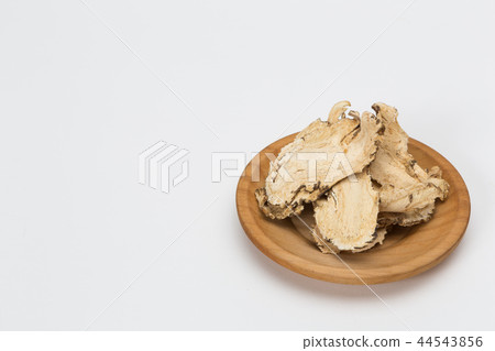 Angelica and copy space 44543856