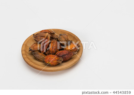 Gardener and copy space Gardener and copy space 44543859