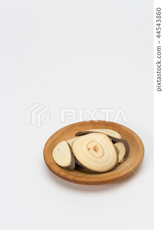 Hoven tree and copy space 44543860