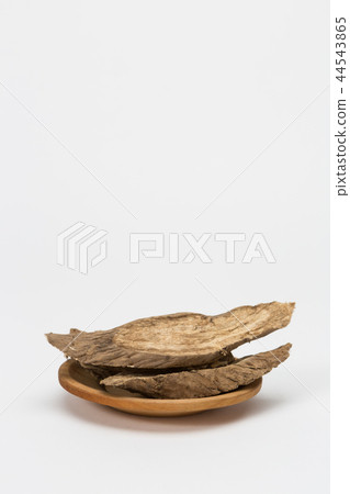 Pueraria and copy space 44543865