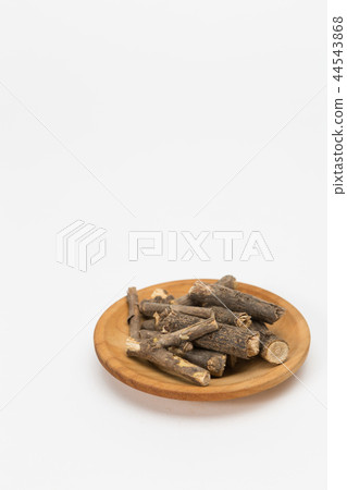 大垣和復制空間 大垣和復制空間 44543868