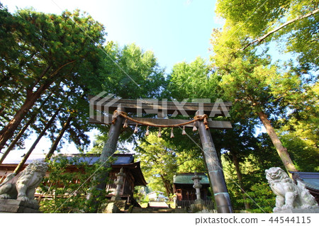 Suwa Taisha (Jeisha Maemiya) Suwa Taisha (Jeisha Maemiya) 44544115