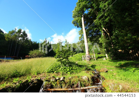 Su訪大社(Maemiya) Su訪大社(Maemiya) 44544153