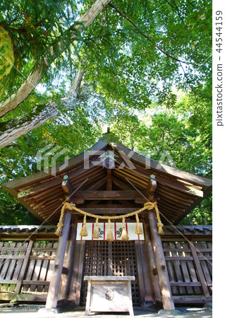 Su訪泰莎（Jeisha Maemiya） 44544159