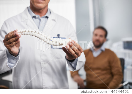 Adult doctor is holding realistic layout of spine 44544401