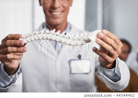 Specially crafted spine layout for visual examination Specially crafted spine layout for visual examination 44544402