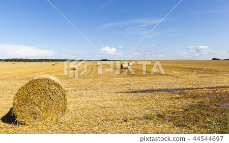 blue sky blue sky 44544697