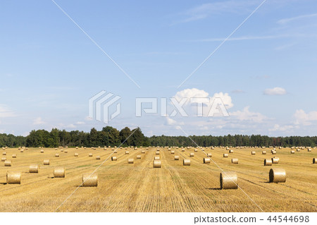 row stack straw row stack straw 44544698