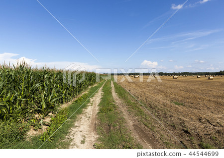 road field 44544699
