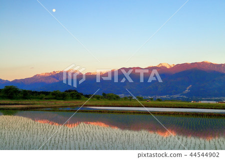 Southern Alps to dawn with the moon 44544902