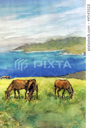 東京都市區Noma Ranch 44545028