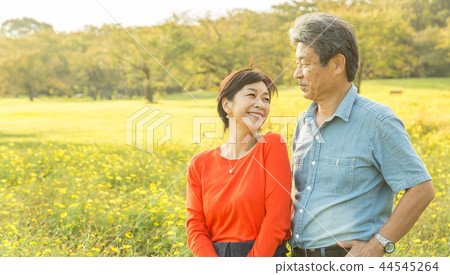 Loving couple Autumn walk trail Yellow cosmos senior couple 44545264
