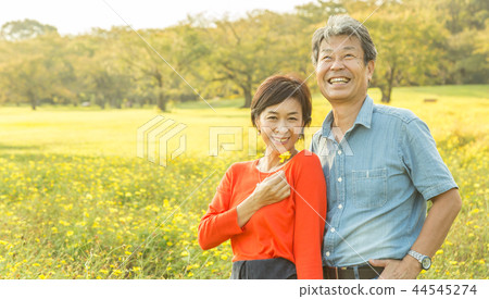Loving couple Autumn walk trail Yellow cosmos senior couple Loving couple Autumn walk trail Yellow cosmos senior couple 44545274