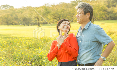 Loving couple Autumn walk trail Yellow cosmos senior couple 44545276