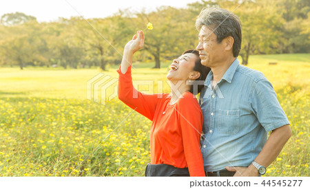 Loving couple Autumn walk trail Yellow cosmos senior couple 44545277
