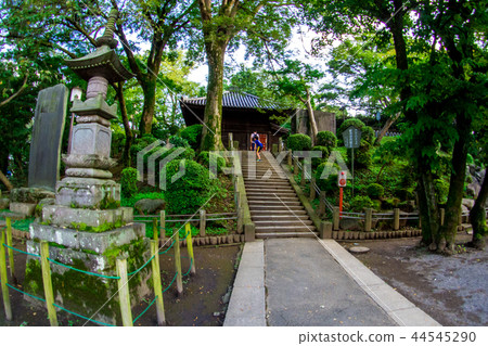 Kitain Temple at Kawagoe, Japan, Sep 2018 Kitain Temple at Kawagoe, Japan, Sep 2018 44545290