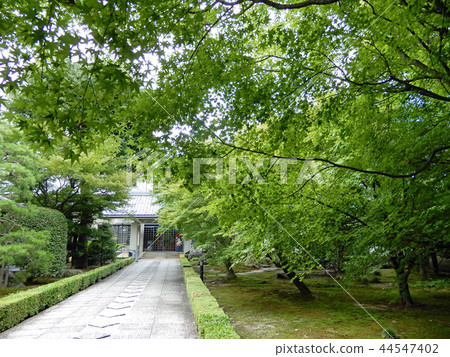 通往Aikoku Temple Jotenkaku藝術博物館 通往Aikoku Temple Jotenkaku藝術博物館 44547402