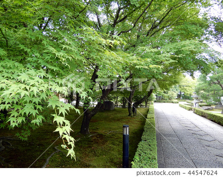 Aokinji Temple Jotenkaku Museum of Art Aomoriji 44547624
