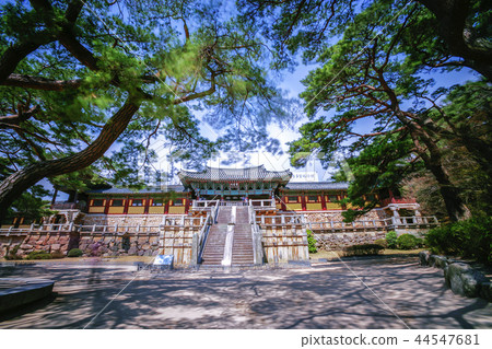 Gyeongsangbuk-do, Korea, Gyeongju, Bulguksa Temple 44547681