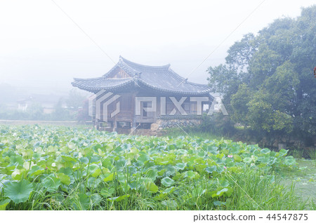 Gyeongsangbuk-do，韓國，慶州，Seojangji 44547875