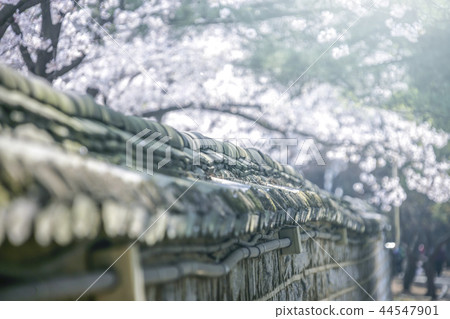 Gyeongsangbuk-do, Korea, Gyeongju, Daehungwon 44547901